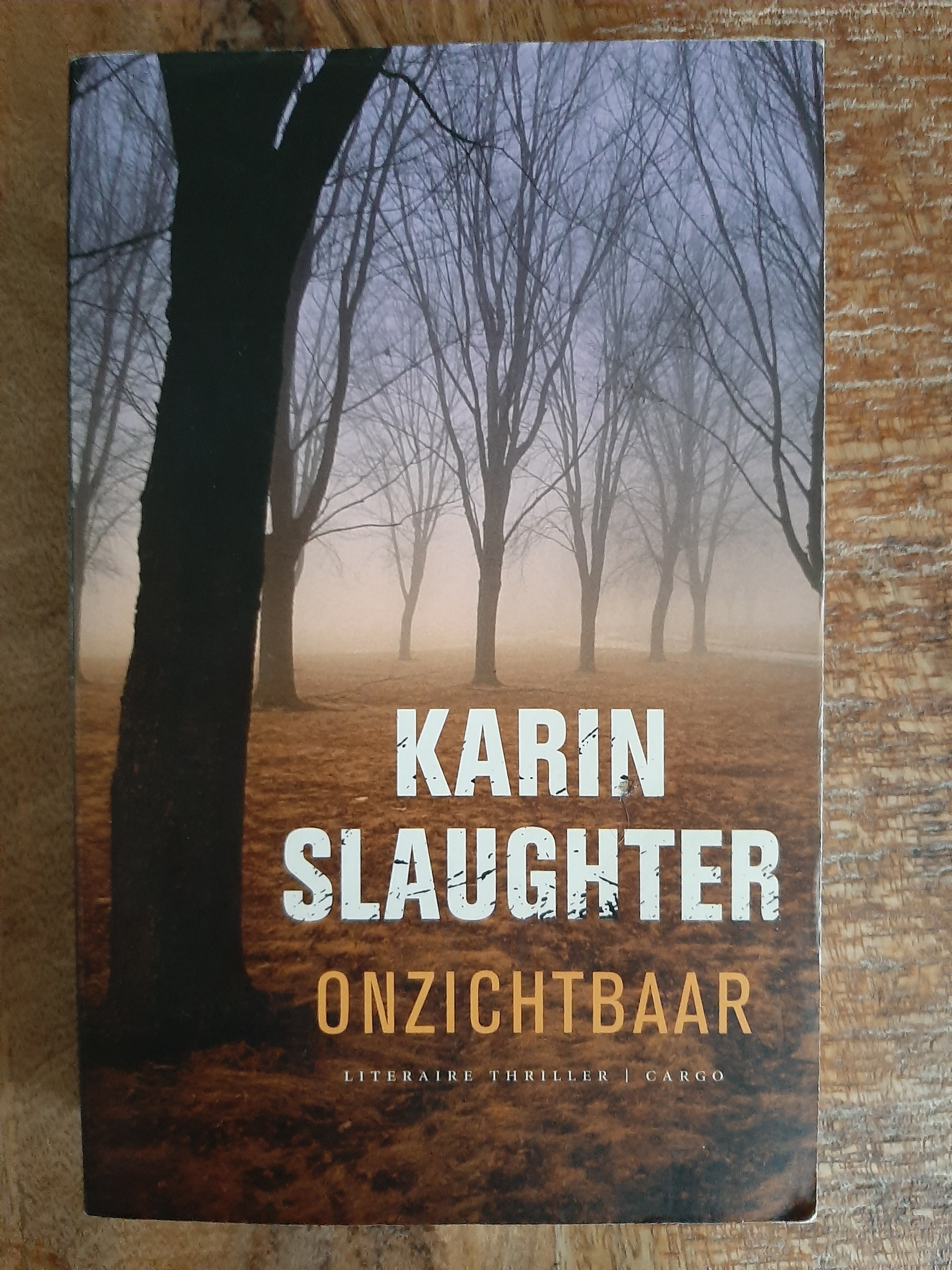 Onzichtbaar - Karin Slaughter - nr. 1