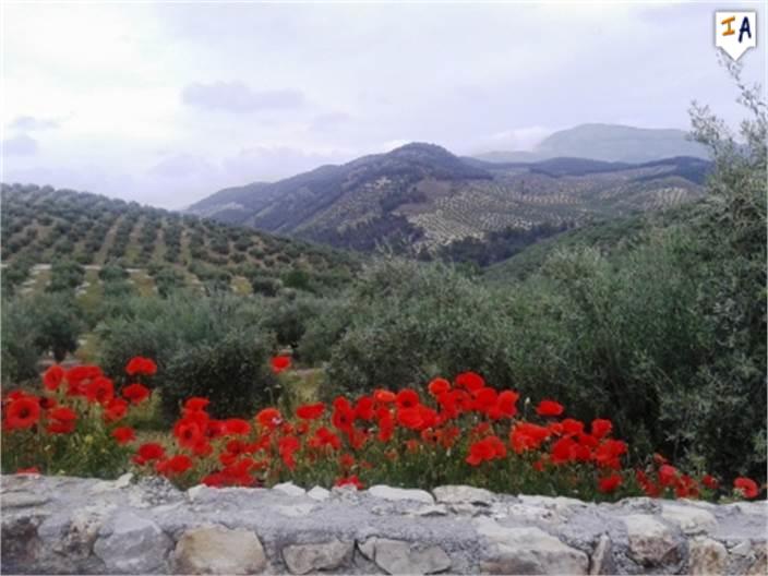 VERKOCHT/Cortijo/Sabriego/Andalusië /155000->80.000€ - Afbeelding 4