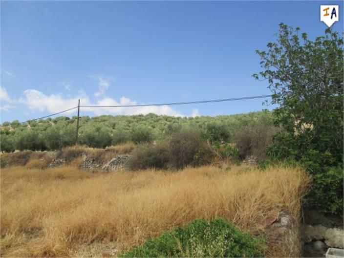 3 Dorpswoningen voor 30.995€!!! Fuente Tojar/Andalusië - Afbeelding 2