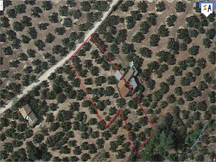 Cortijo/land/rust/Spanje/Jaen/Las Casillas/69.995->66.000€ - Afbeelding 3