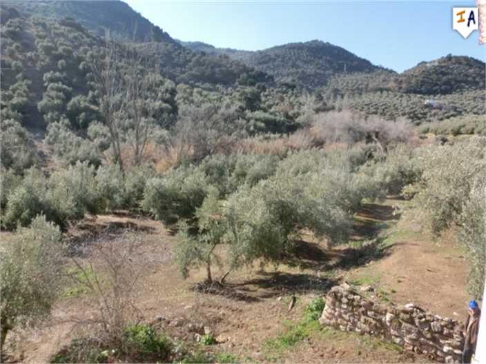 Cortijo/land/rust/Spanje/Jaen/Las Casillas/69.995->66.000€ - Afbeelding 8