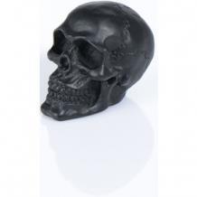 Black Skull (39-968) - nr. 1