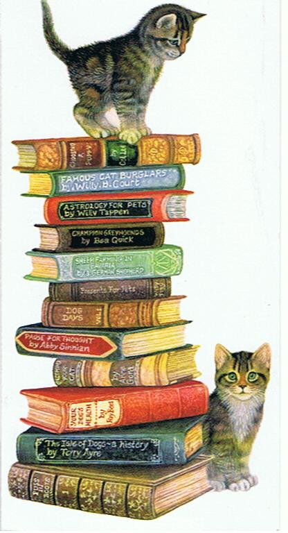 Sara Douglass = Zang van de Icarii - Saga van Axis boek 2 - Afbeelding 3