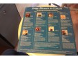 149v - lp - jonge mensen in concert - Afbeelding 2