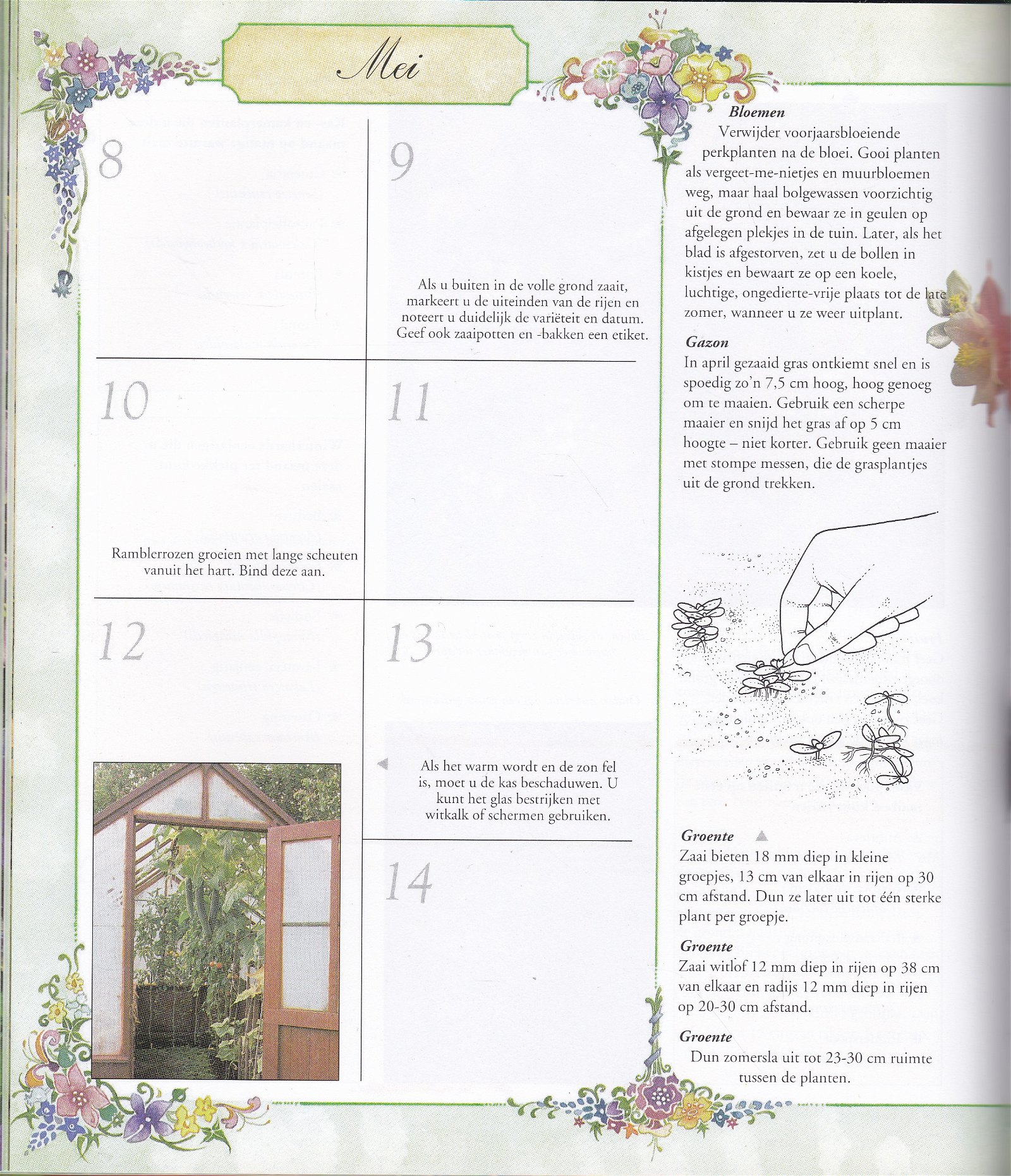 Het Tuin Dagboek - Afbeelding 3