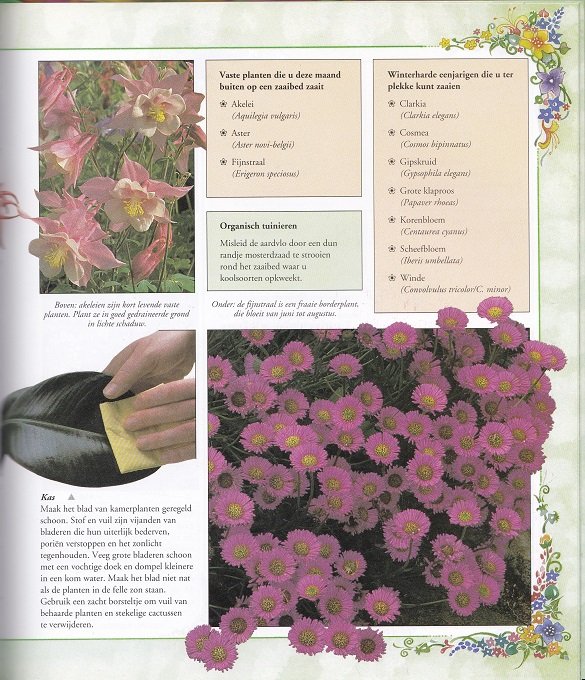 Het Tuin Dagboek - Afbeelding 4