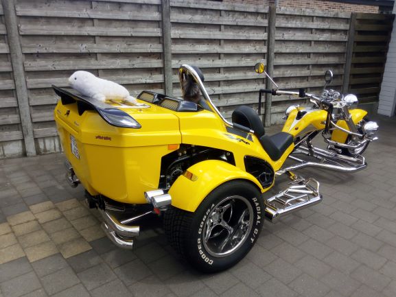 Boom Trike Ford Mustang - Afbeelding 2