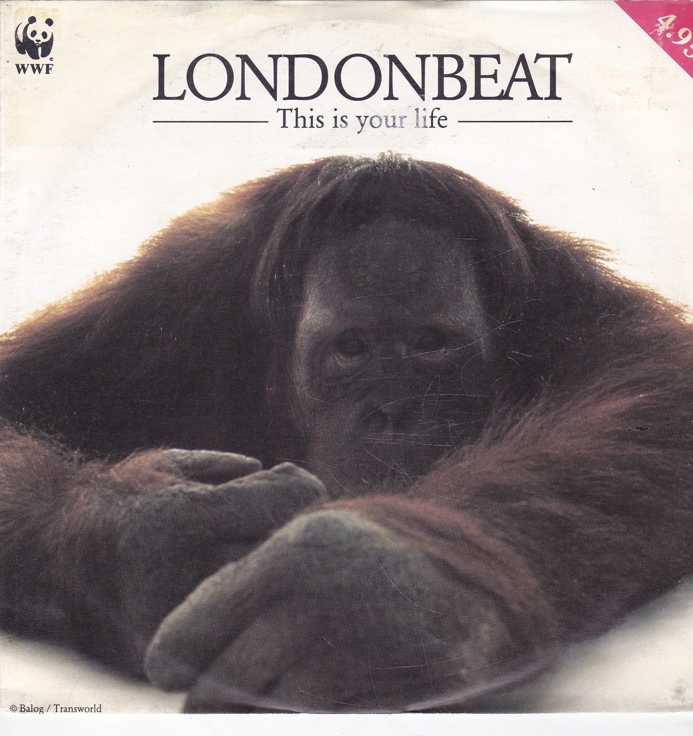 Single Londonbeat - This is your life - nr. 1