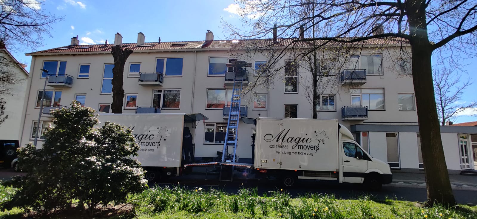 Move and storage? Magic Movers the moving company - Afbeelding 8