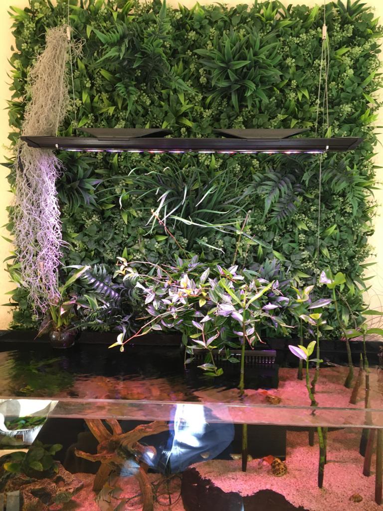 Wandmat Jungle kunststof 1x1meter, Volle dekking - Afbeelding 3
