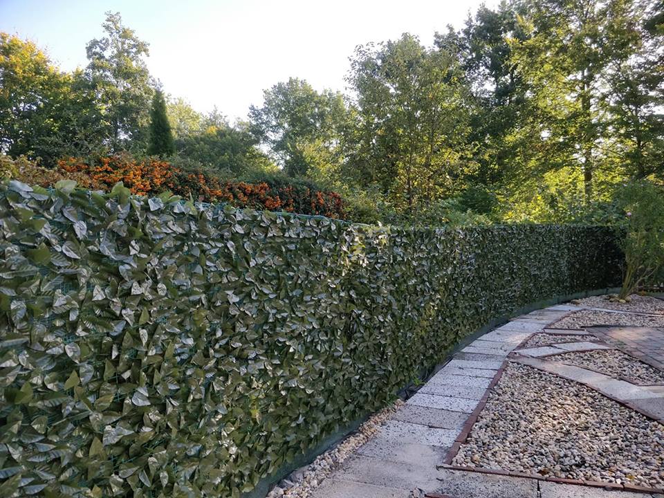 Kunsthaag Klimop op rol 1×3 mtr, Interieur en buiten - Afbeelding 4