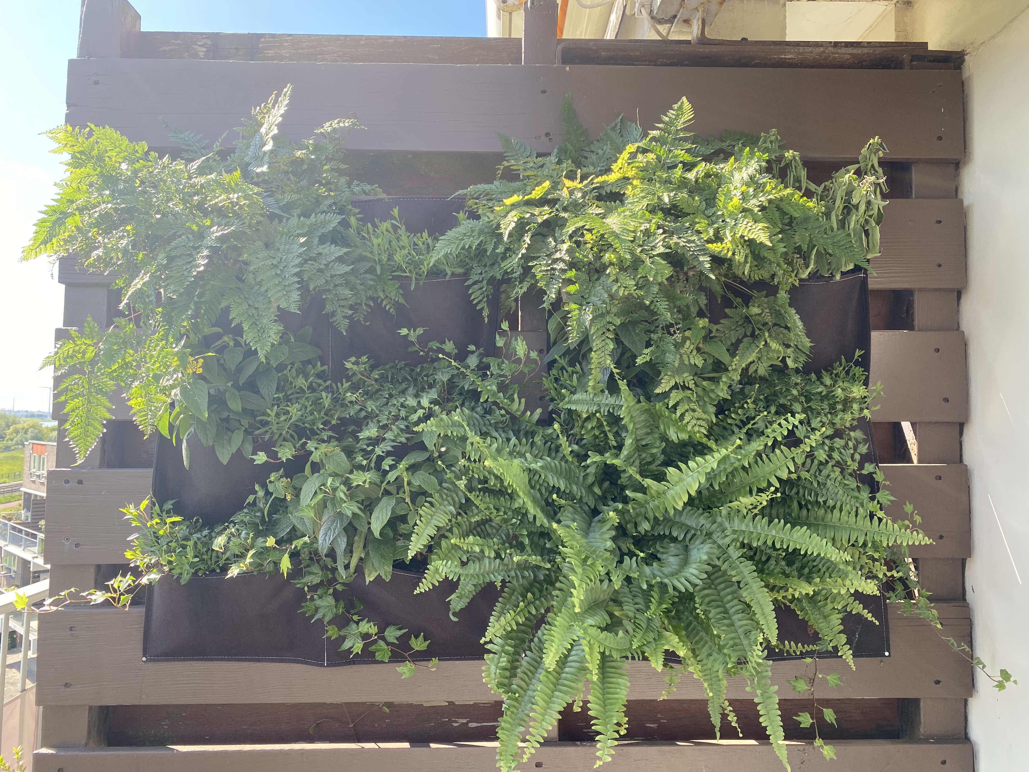 Verticale tuin 2 zakken Vilt - Afbeelding 4