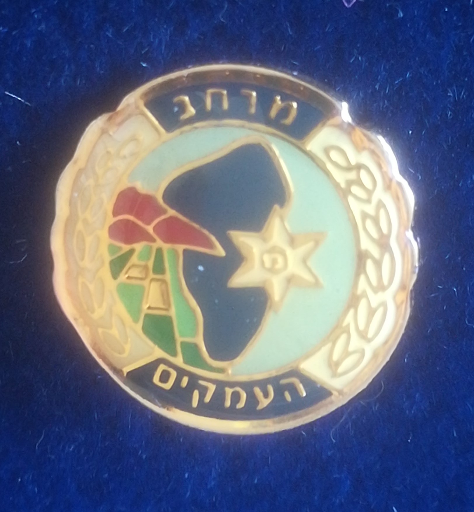 Israelische politie pin Northern district