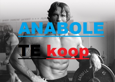 Bodybuilding Kuurtjes te koop - nr. 1