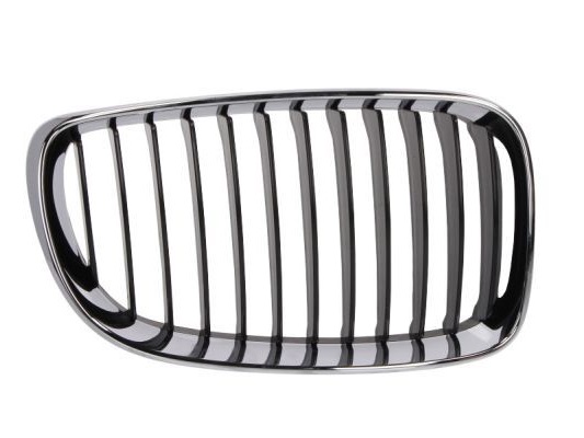 Radiateurgrille Grill Rechts BMW 1 E81 / E82 / E87 E88 2007-2011