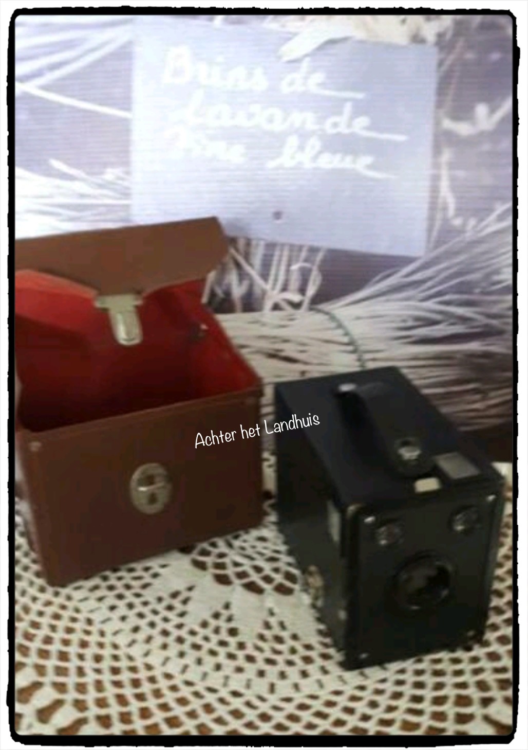 Oude Foto Box Camera Kodak Target Hawk Six, jr. 30 incl tasje