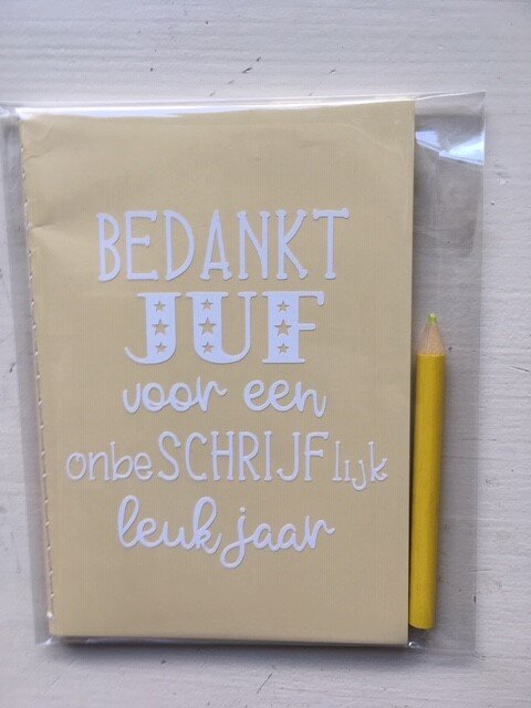 notitieboekje thema; afscheid / afscheidscadeautje voor de juf & meester - Afbeelding 2