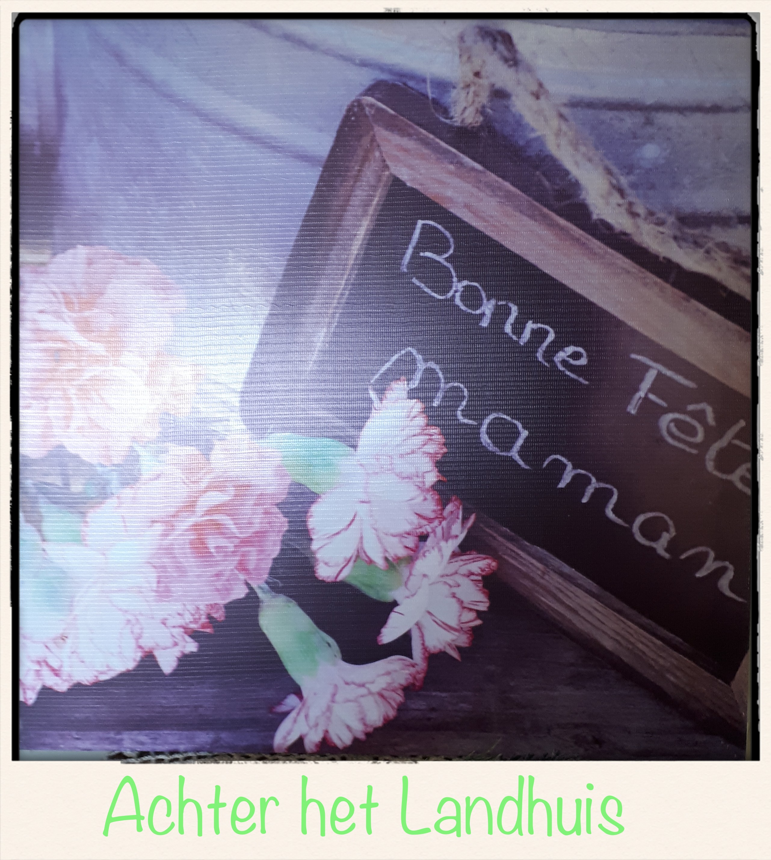 Twee Canvas binnen-buiten prenten met Anjers - Afbeelding 2
