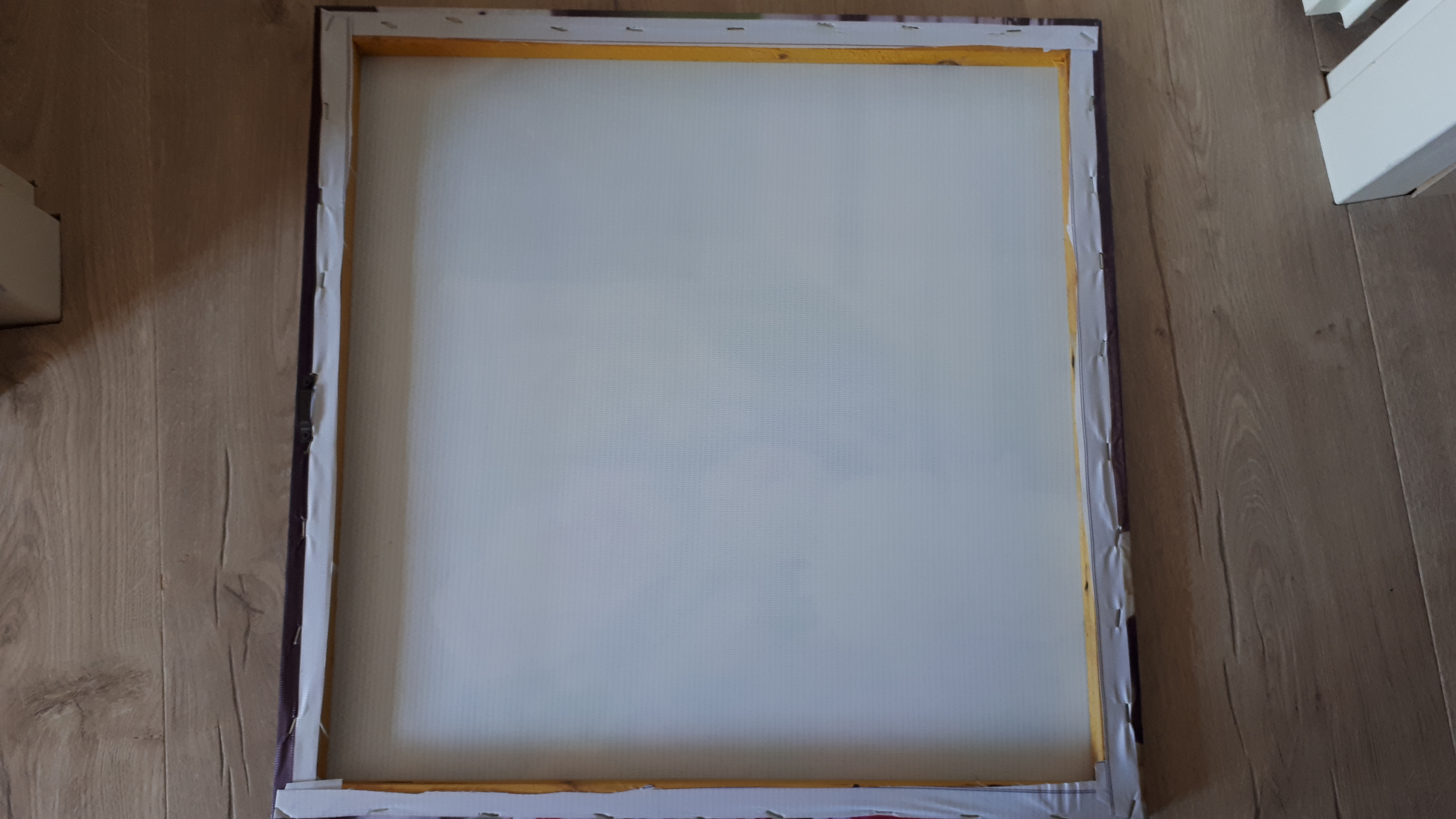 Twee Canvas binnen-buiten prenten met Anjers - Afbeelding 3