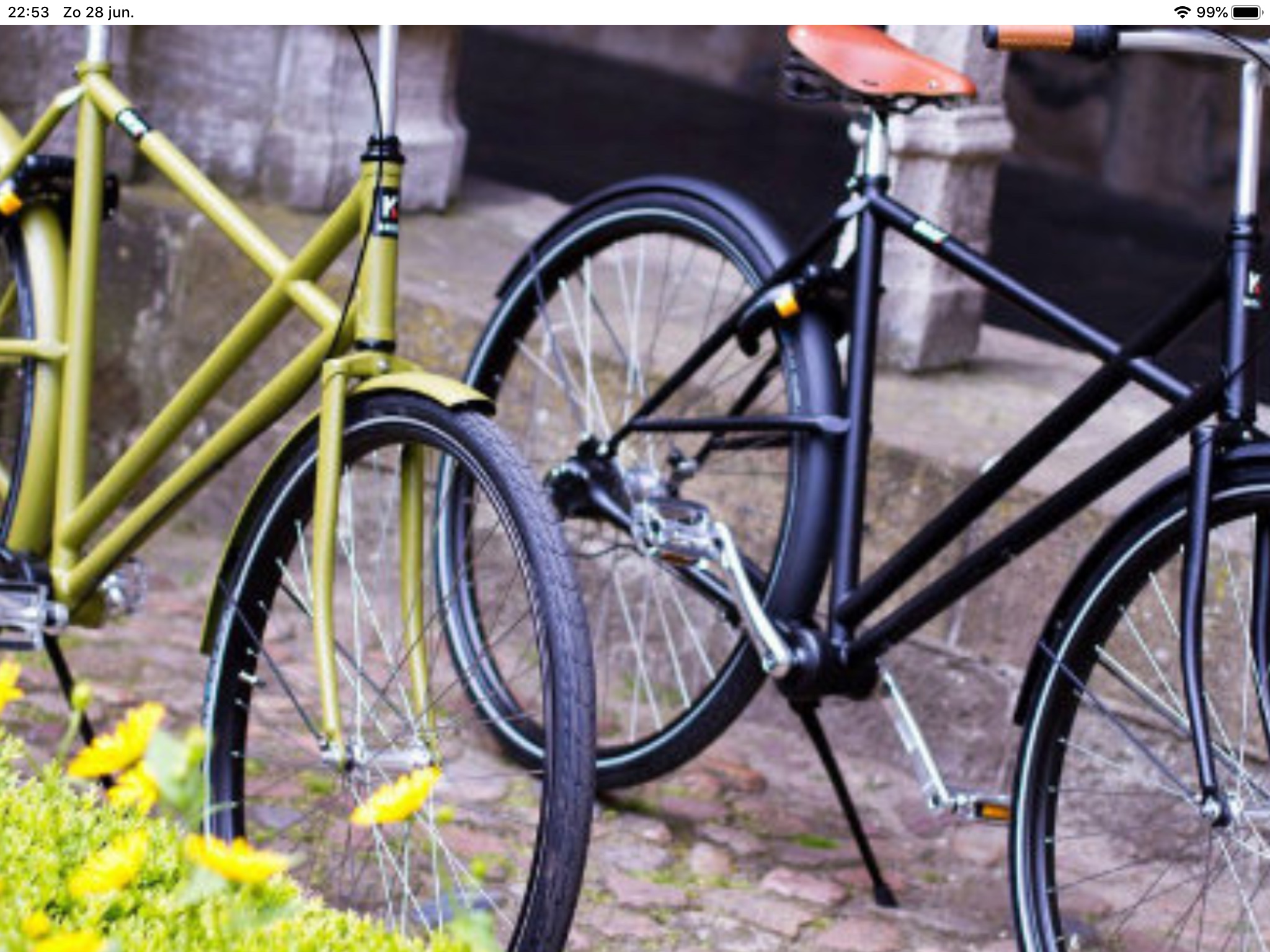 Fiets Gezocht Gevraagd Van Raam Moof Brik Beixo Riese Birdy Müller - Afbeelding 2