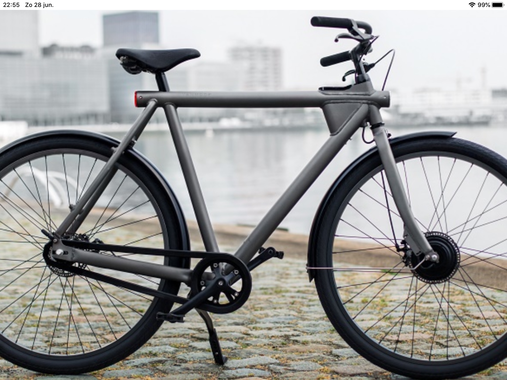 Fiets Gezocht Gevraagd Van Raam Moof Brik Beixo Riese Birdy Müller - Afbeelding 7