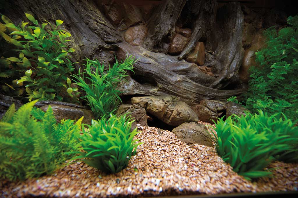 "Amazone" 3D polyester Aquarium achterwand 100x60 cm - nr. 1