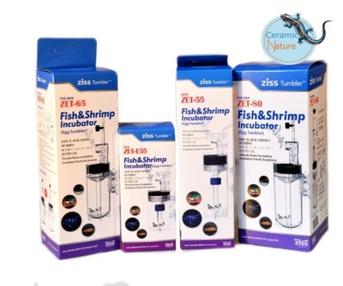Egg Tumblers Ziss Aqua - Afbeelding 2