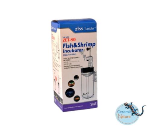 Egg Tumblers Ziss Aqua - Afbeelding 3