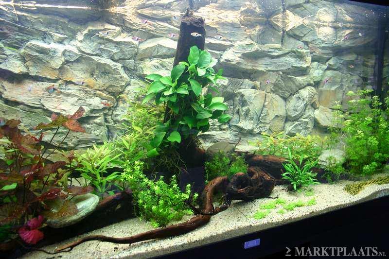 "Rock" Polyester Aquarium achterwanden in 1 of 2 delen. - nr. 1