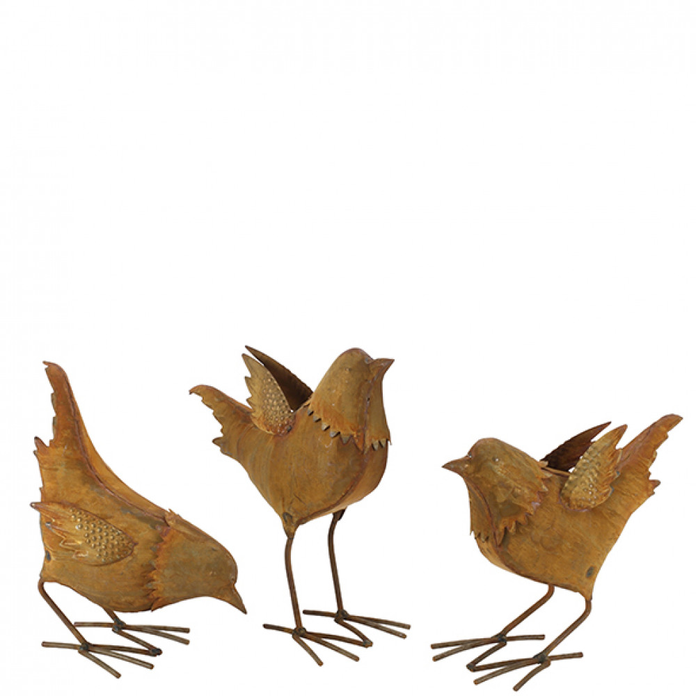 VOGELS - ROEST DESIGN - nr. 1