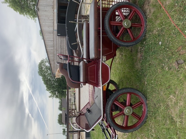 Prachtige koets / marathonwagen/recreatiewagen te koop - Afbeelding 7