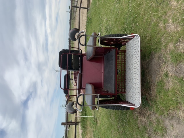 Prachtige koets / marathonwagen/recreatiewagen te koop - Afbeelding 8