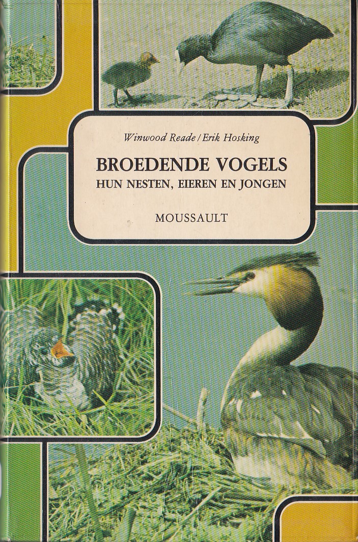 Broedende vogels: hun nesten, eieren en jongen