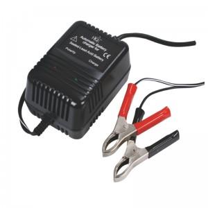 HQ Batterij lader voor lood accu 6V - 12V - nr. 1