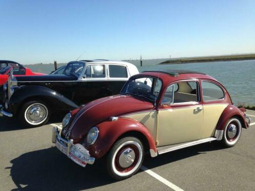 VW Kever Ragtop - 1967 - Afbeelding 2
