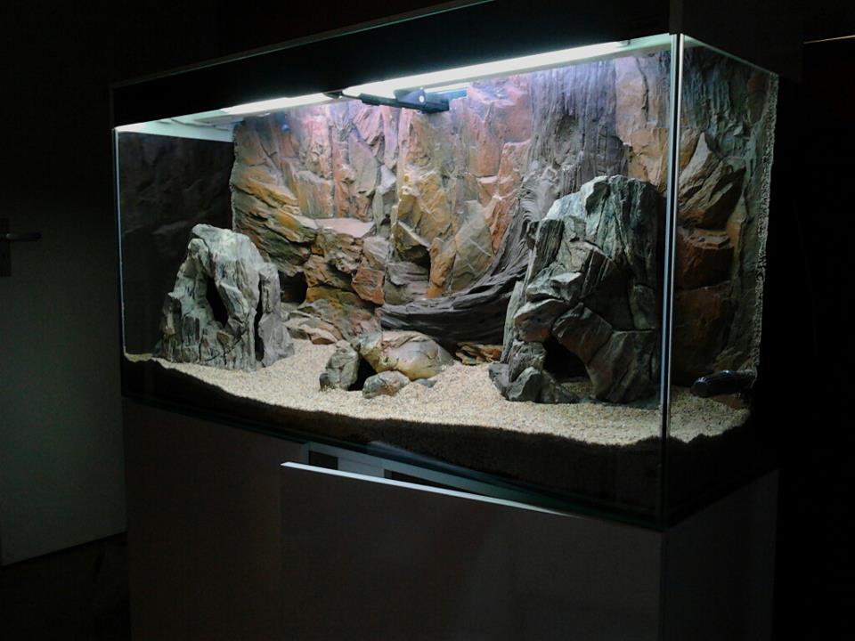 Diverse 3D aquarium achterwanden met KORTING! - nr. 1