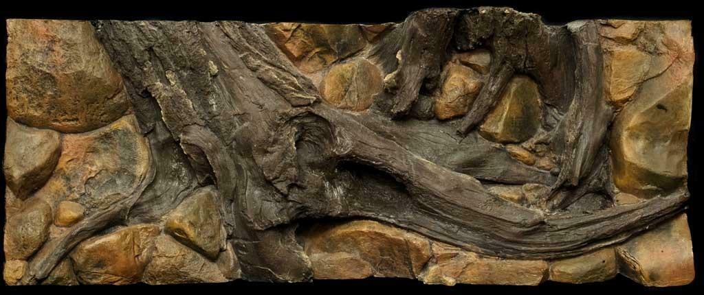Diverse 3D aquarium achterwanden met KORTING! - Afbeelding 4