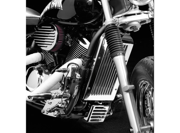 RVS Radiator cover Honda VT 1100 ACE C2 (BIHO-0219) - nr. 1