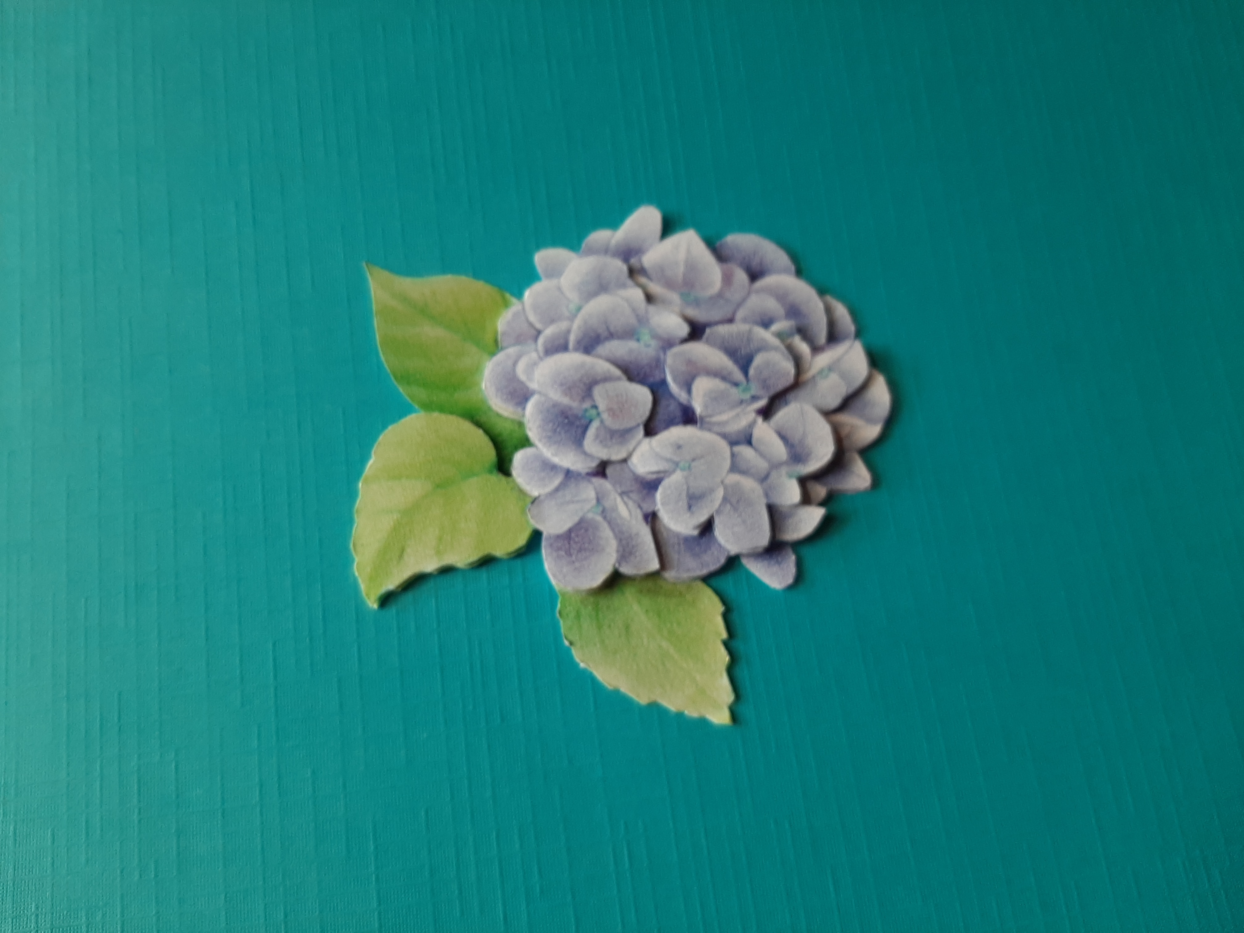 j115 Jeanine / bloemen - nr. 1