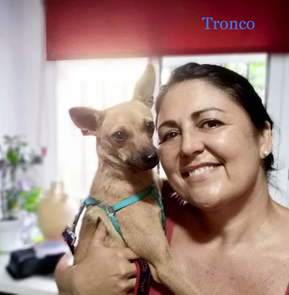 MJM Dogs Foundation: Tronco - Afbeelding 2